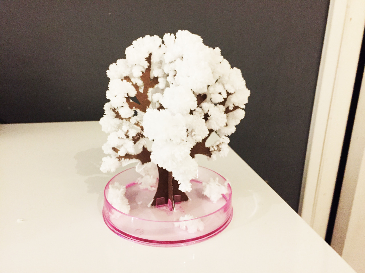 [Test] Arbre magique Hanami