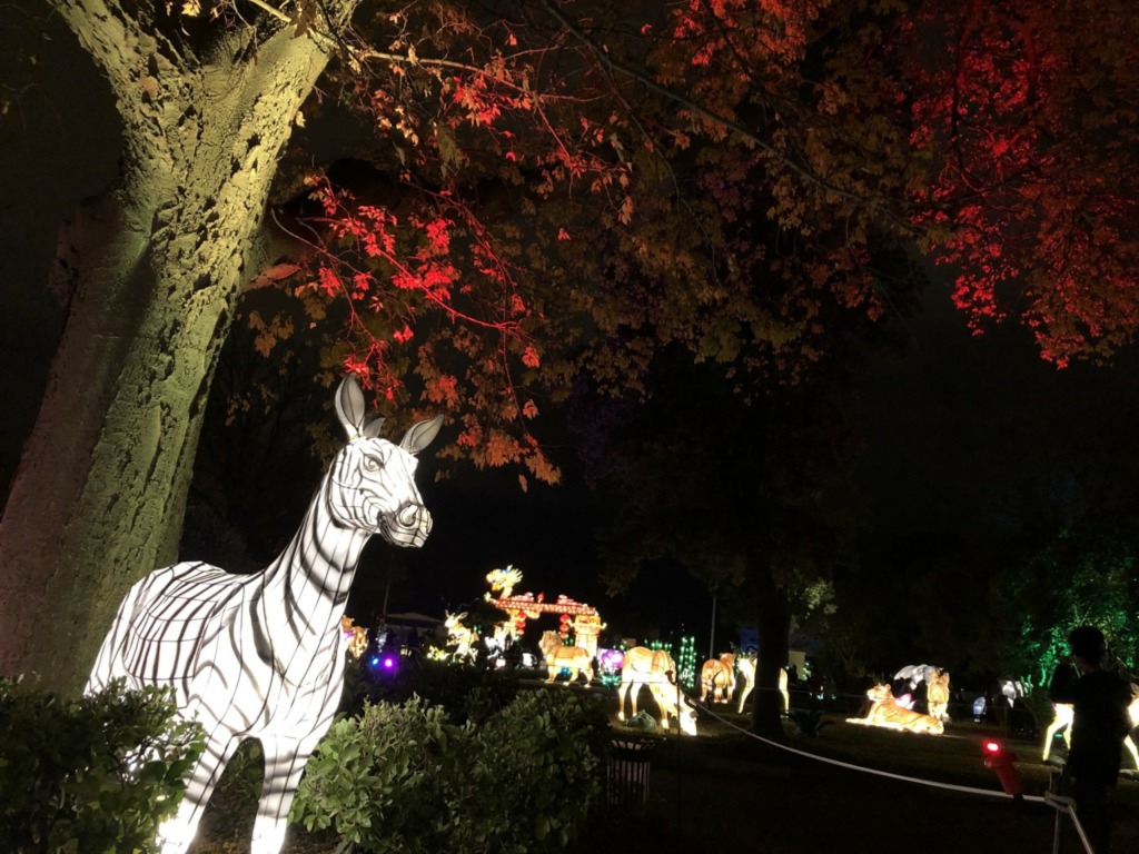 Les Lumières légendaires de Chine débarquent à Marseille